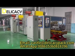 La línea de producción de la lata de 2 piezas totalmente automatizada de la marca Delicacy
